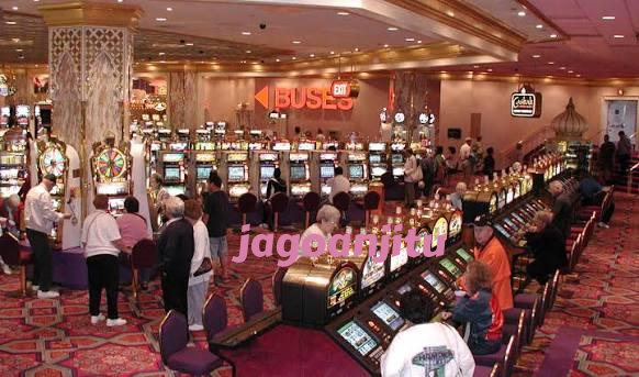 jagoanjitu No Commission Baccarat On jagoanjitu
